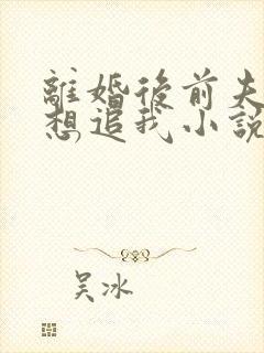 离婚后前夫总是想追我小说在线阅读