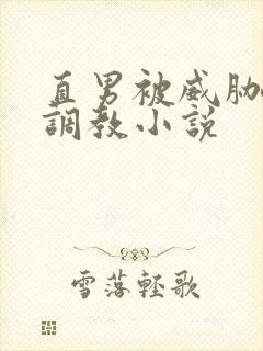 直男被威胁玩弄调教小说