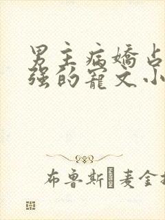 男主病娇占有欲强的宠文小说推荐