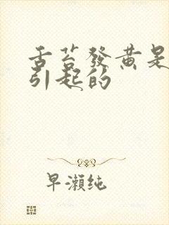 舌苔发黄是怎么引起的