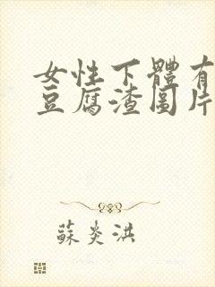 女性下体有白色豆腐渣图片