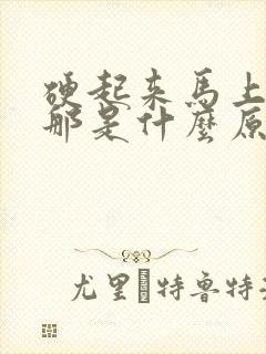 硬起来马上软掉那是什么原因