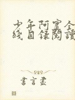 少年阿宾全集在线目录阅读全文原文