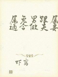 属兔男跟属龙女适合做夫妻吗