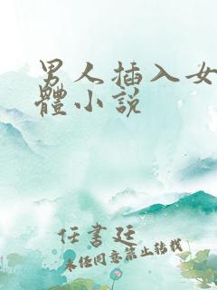 男人插入女人下体小说