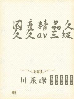 国产精品久久久久久av三级