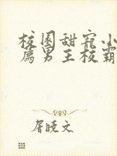 校园甜宠小说推荐男主校霸