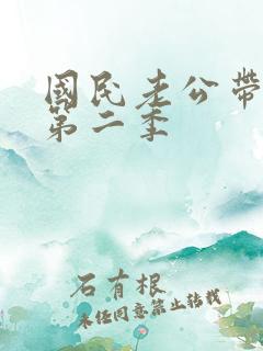 国民老公带回家第二季