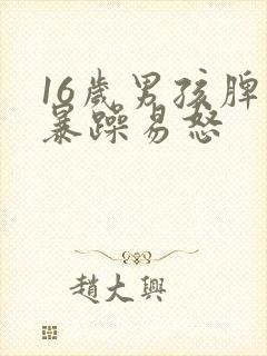 16岁男孩脾气暴躁易怒