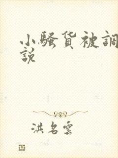 小骚货被调教小说