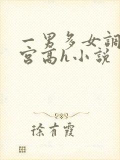 一男多女调教后宫高h小说