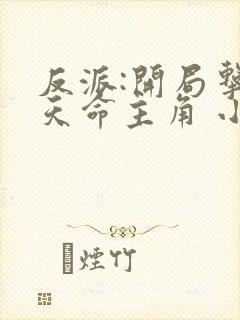 反派:开局击杀天命主角 小说