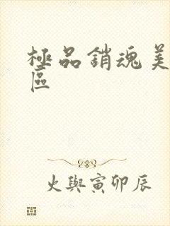 极品销魂美女一区