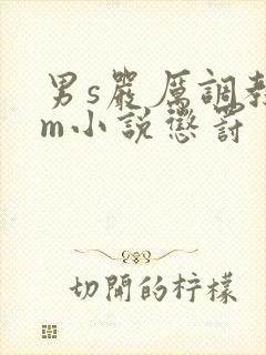 男s严厉调教女m小说惩罚