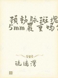 颈动脉斑块1.5mm严重吗能治好吗