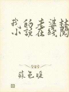 我的老婆林慧茹小说在线阅读