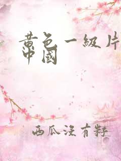 黄色一级片特黄中国