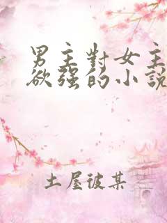 男主对女主占有欲强的小说