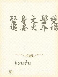 替身文学双男主追妻火葬场推荐