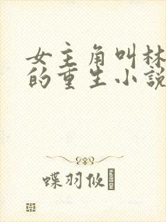 女主角叫林清婉的重生小说