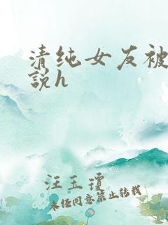 清纯女友被c小说h