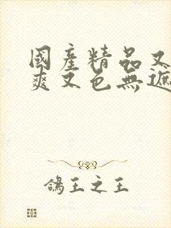 国产精品又黄又爽又色无遮挡网站