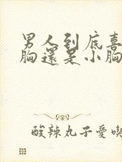 男人到底喜欢大胸还是小胸