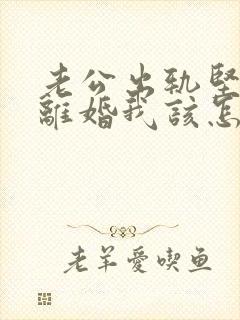 老公出轨坚决要离婚我该怎么办