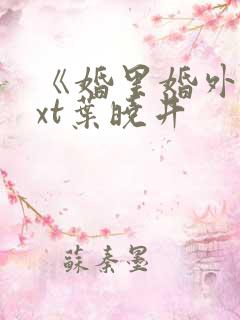 《婚里婚外》txt叶晓井