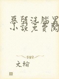 恶堕洗脑男神们小说免费阅读