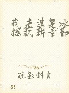 我老婆是冰山女总裁新章节沈浪