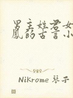 男主姓君女主姓凤的古言小说