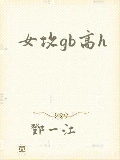 女攻gb高h
