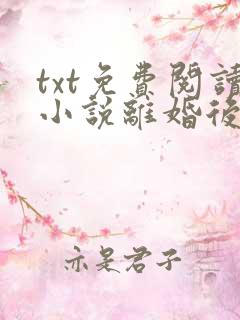 txt免费阅读小说离婚后前夫总是想追我