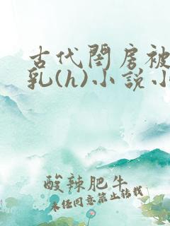 古代闺房被强吃乳(h)小说小说