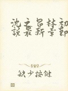 沈之昂林初窈小说最新章节免费阅读