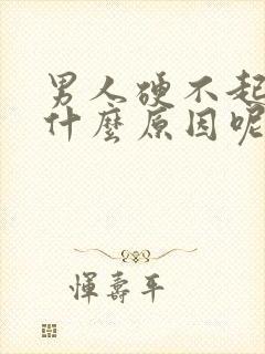 男人硬不起来是什么原因呢