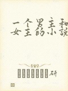 一个男主和多个女主的小说