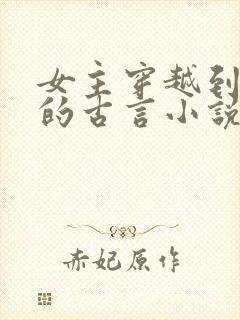 女主穿越到宋朝的古言小说