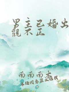 男主已婚出轨三观不正