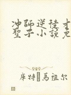 冲师逆徒才不是圣子小说免费观看