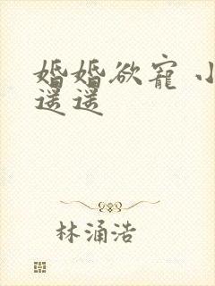 婚婚欲宠 小舟遥遥