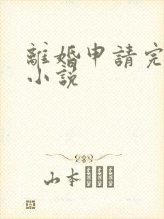 离婚申请完整版小说