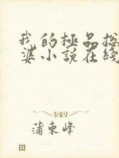 我的极品总裁老婆小说在线阅读