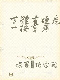 下体有硬疙瘩,一按会疼