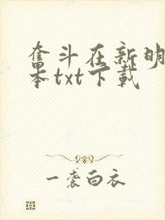 奋斗在新明朝全本txt下载