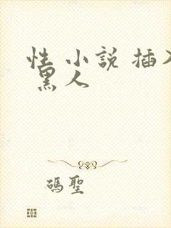 性 小说 插入 黑人