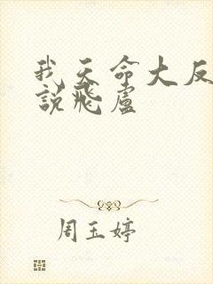 我天命大反派小说飞卢