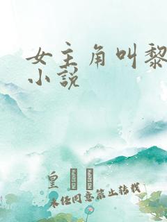 女主角叫黎念的小说