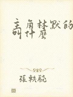 主角林默的小说叫什么